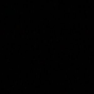 Meet your Posher, Brooklynn